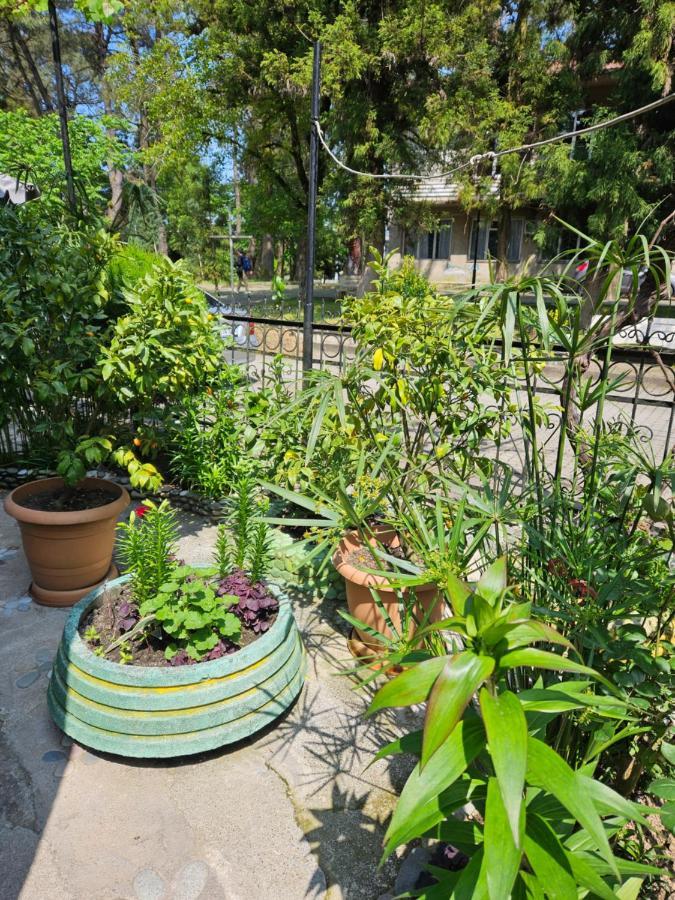Homestay Tamaris-home