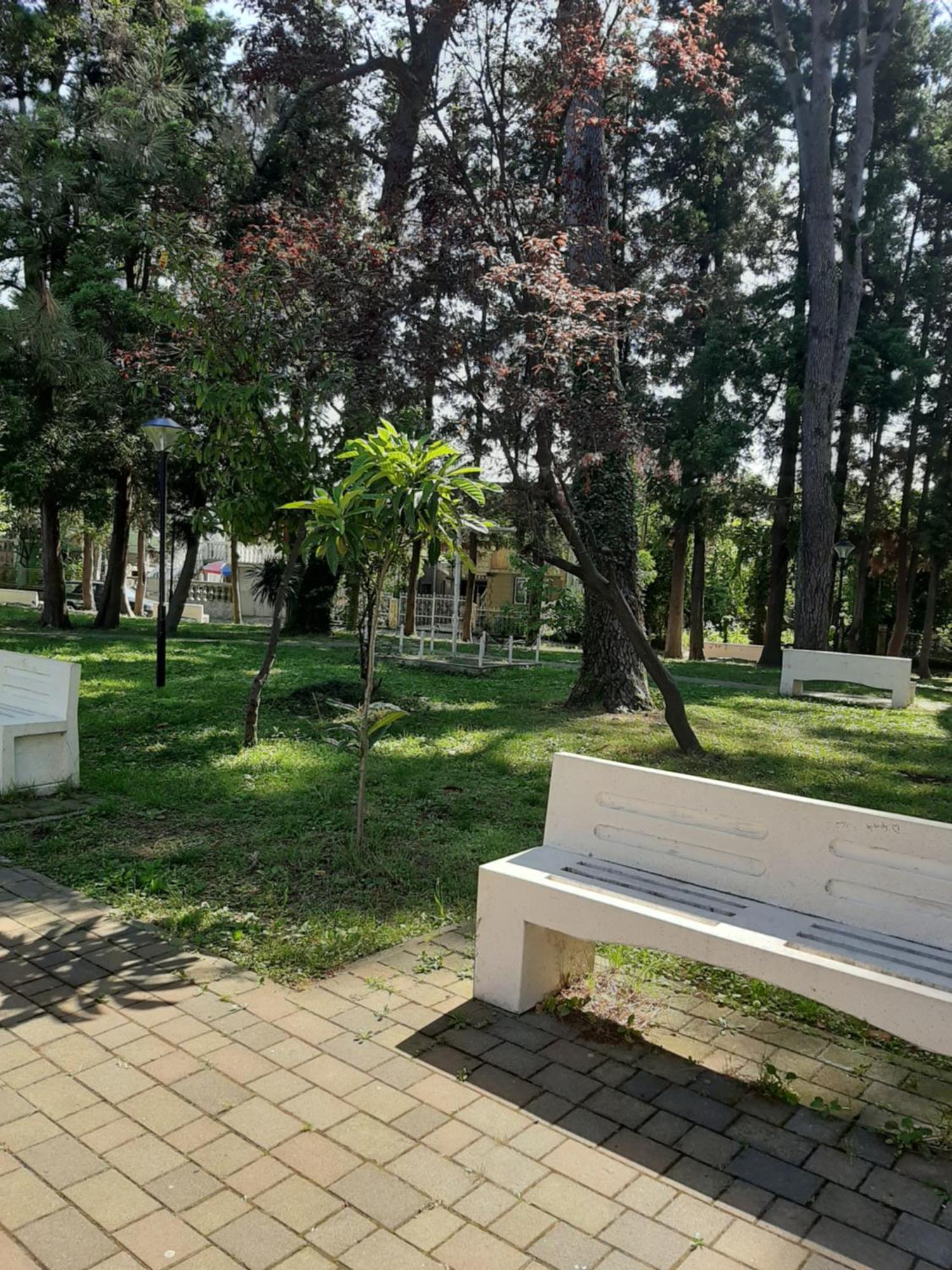 Tamaris-home Homestay